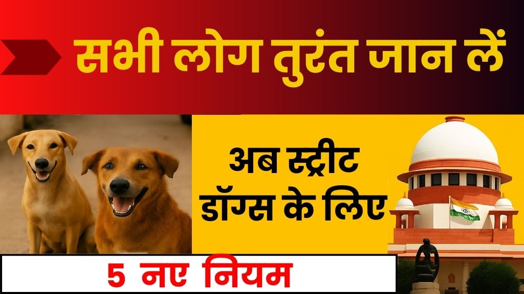 Supreme Court Dog News